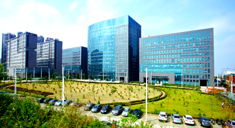 IFCA击剑俱乐部安全运营规范与应急处理培训内容